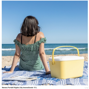 Nevera Portátil Rígida Lilty InnovaGoods 15 L